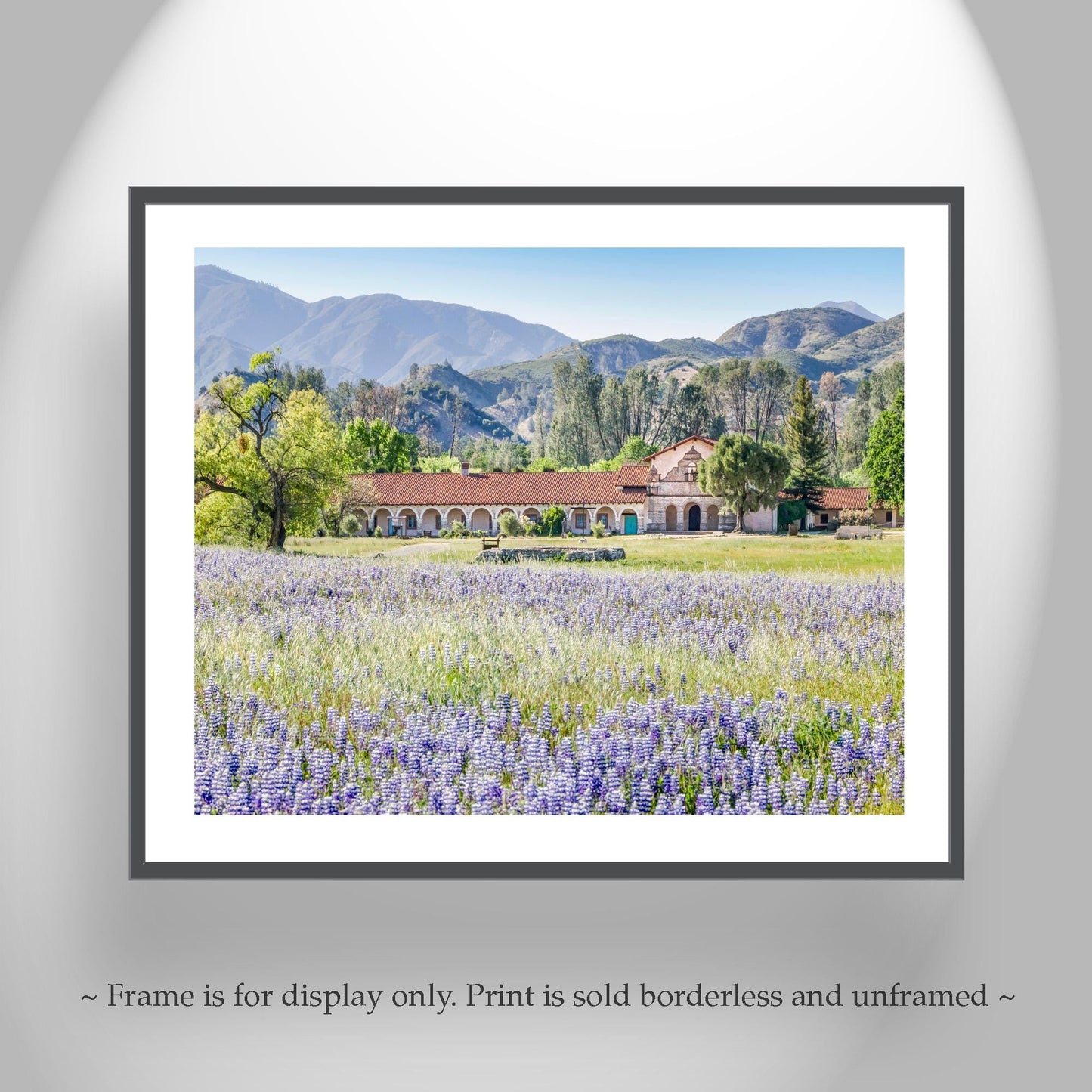 Lompoc Art at Mission San Antonio de Padua | Spring California Wildflowers