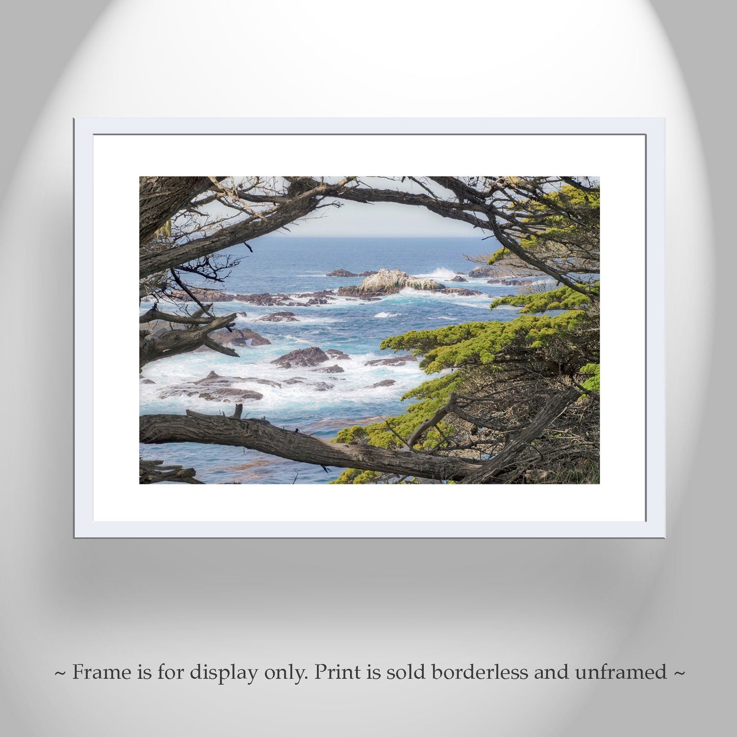 Carmel by the Sea Art Print | Point Lobos with Monterey Cypress Trees