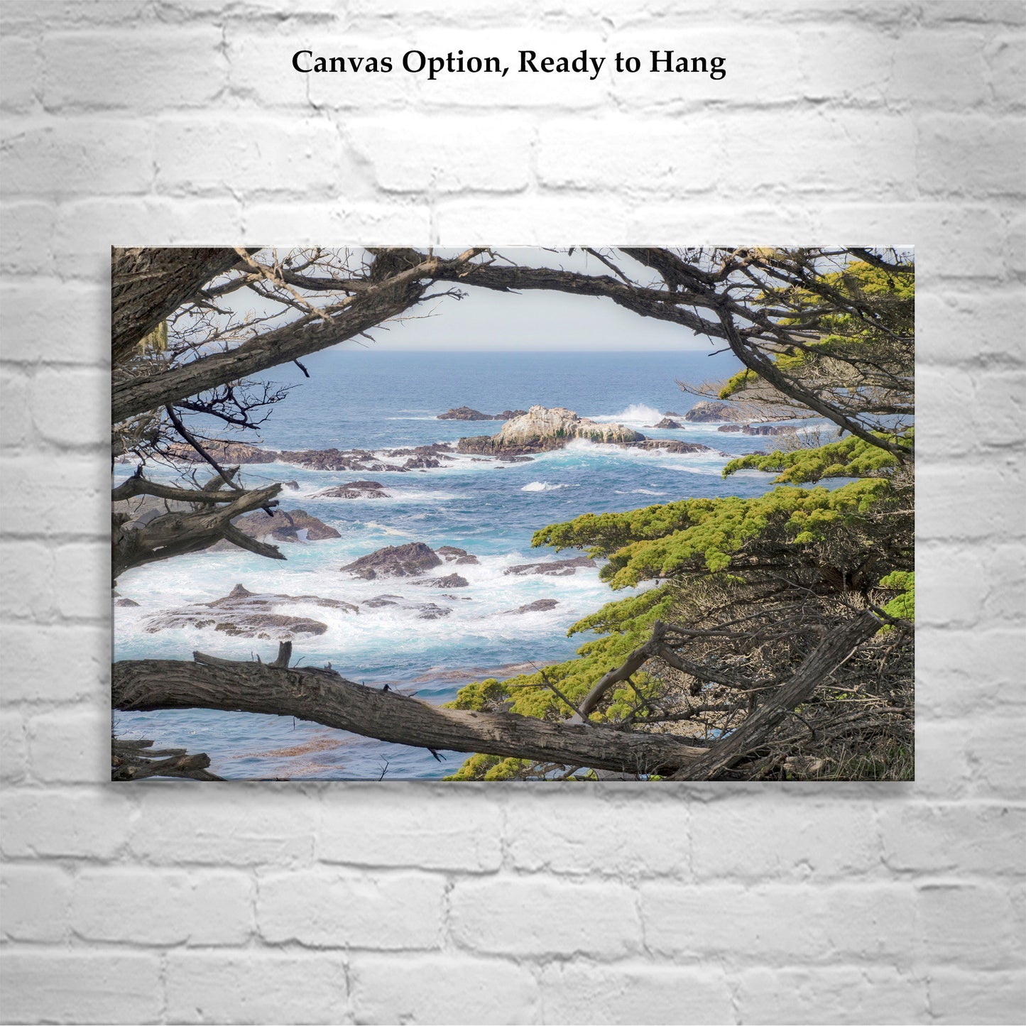 Carmel by the Sea Art Print | Point Lobos with Monterey Cypress Trees