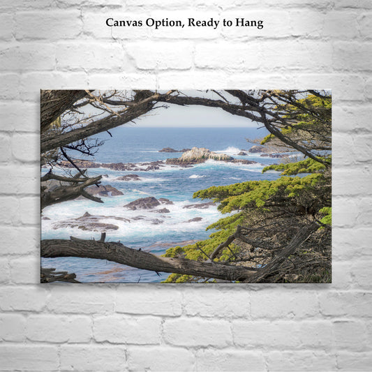 Point Lobos Art Print with Monterey Cypress Trees - Carmel CA