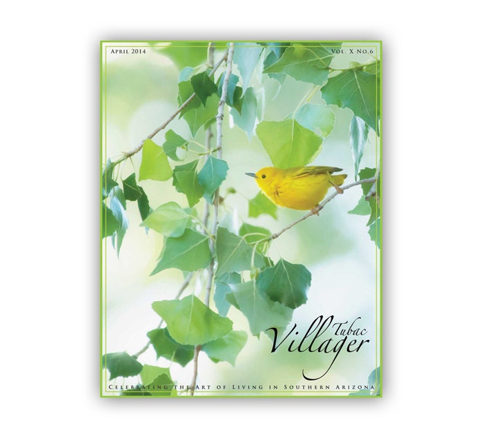 Yellow Warbler Bird Photo Nature Print in Pastel Green and Yellow
