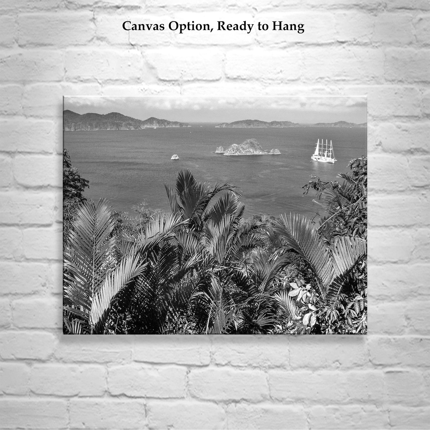 Black and White Costa Rica Art as Tropical Themed Wall Print
