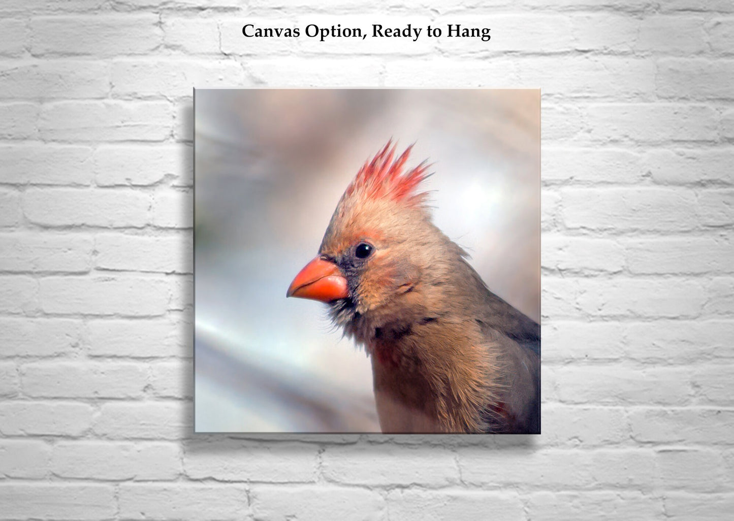 Red Cardinal Bird Art Print | Female Cardinal Bird | Madera Canyon AZ