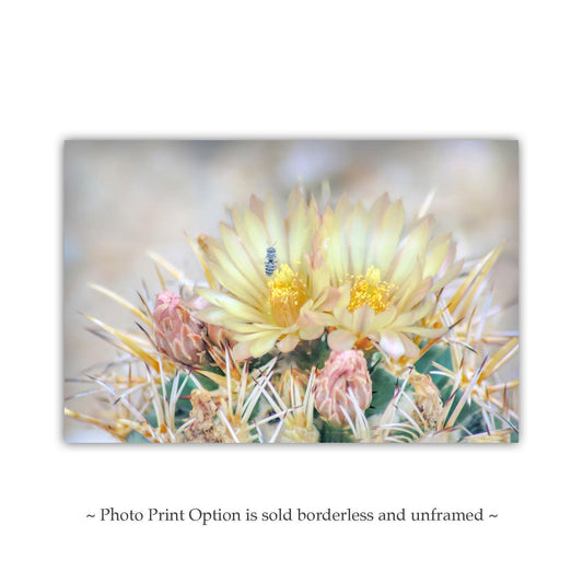 Pink Cactus Flower Art with Bee | Tucson Arizona Botanical Print