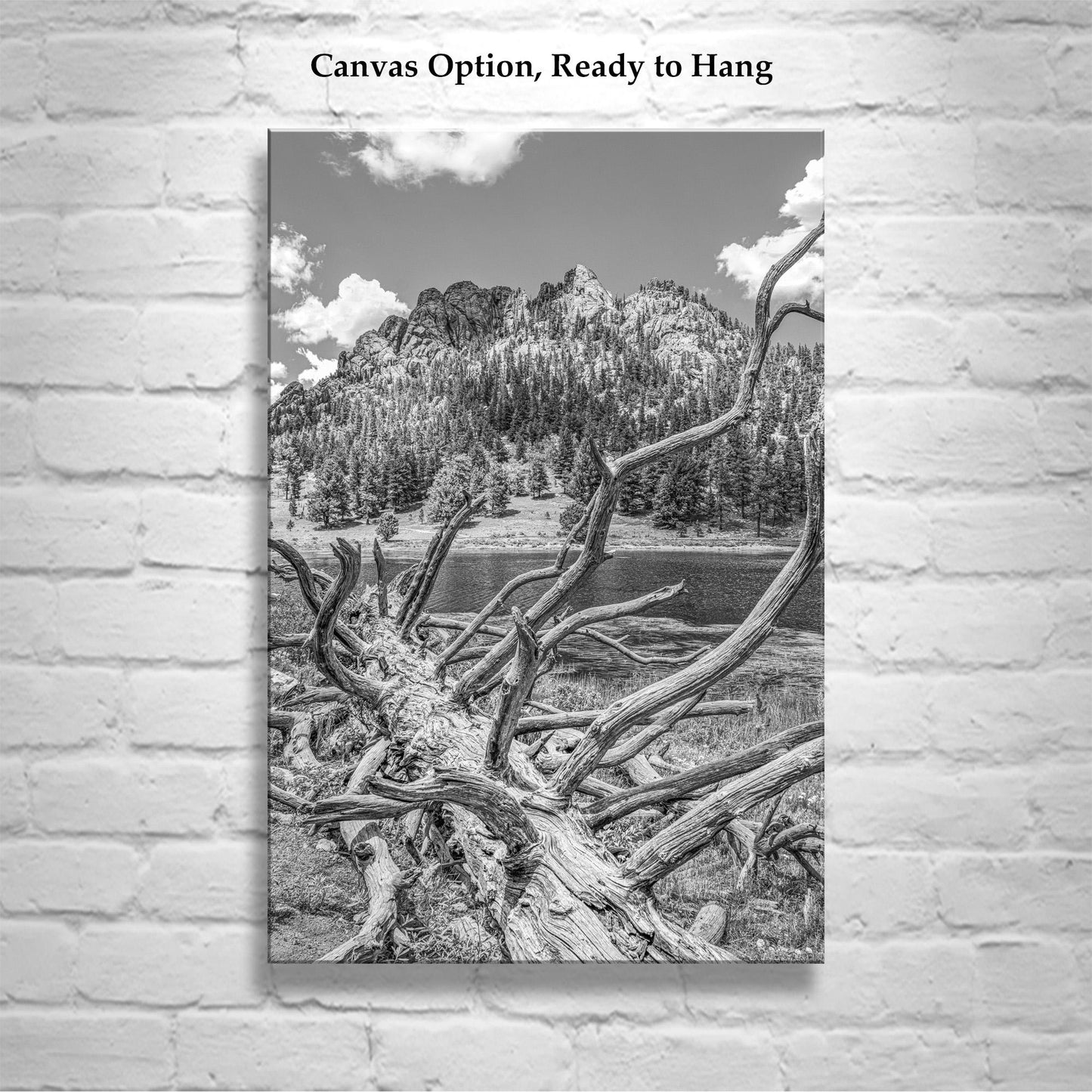 Colorado Photography in Black and White with Rocky Mountain Lake