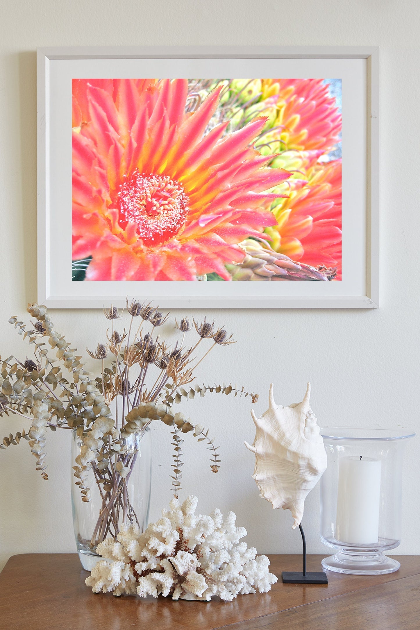 Orange Cactus Flower Wall Art – Desert Botanical Art Print