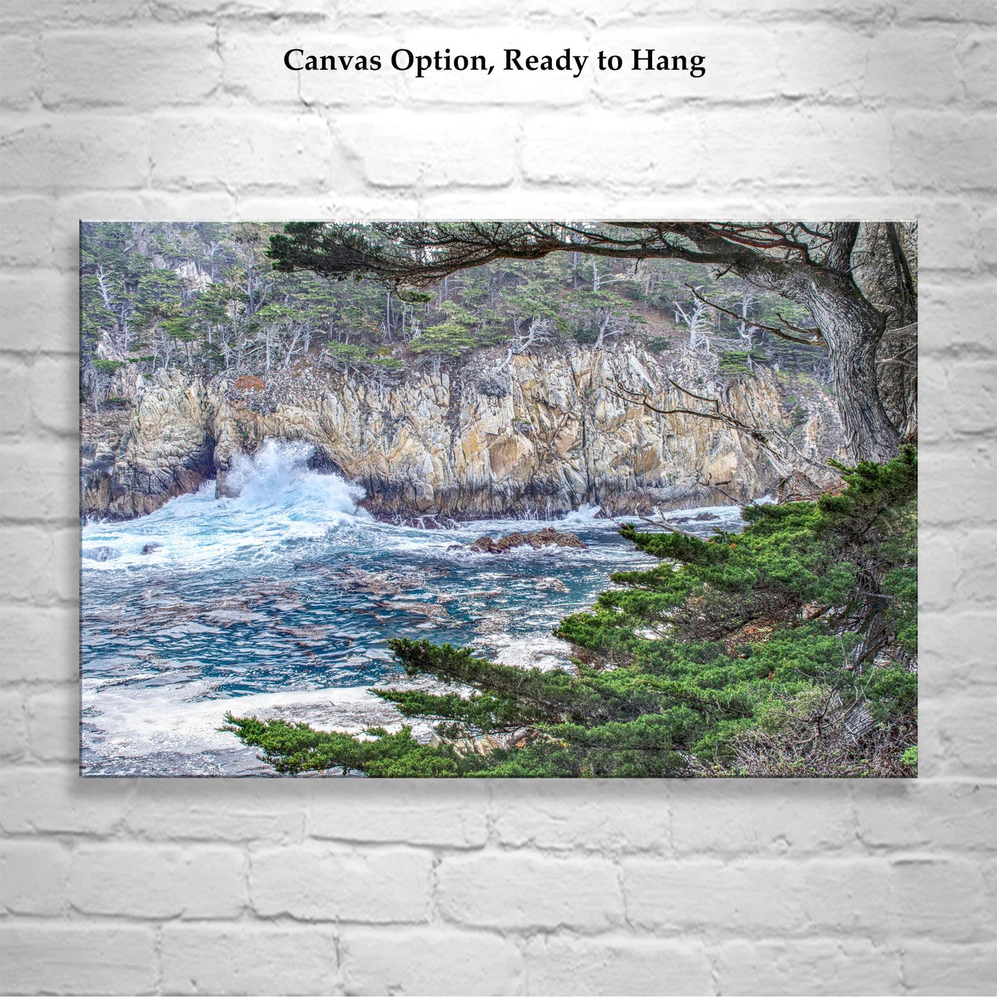 Carmel California Point Lobos Photography Wall Art Print | Big Sur
