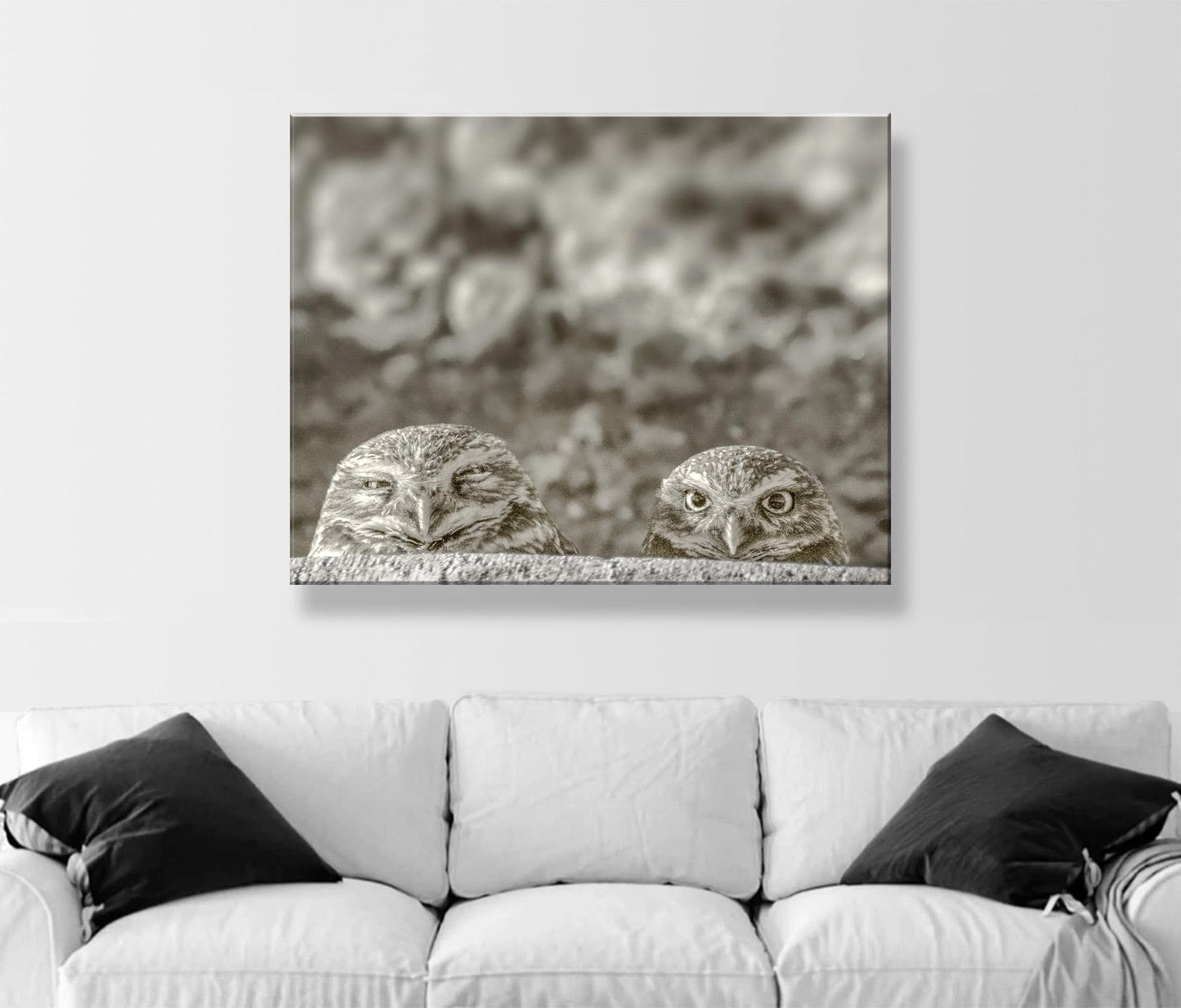 Burrowing Owl Wall Art – Tucson Arizona Wildlife Bird Photo Print