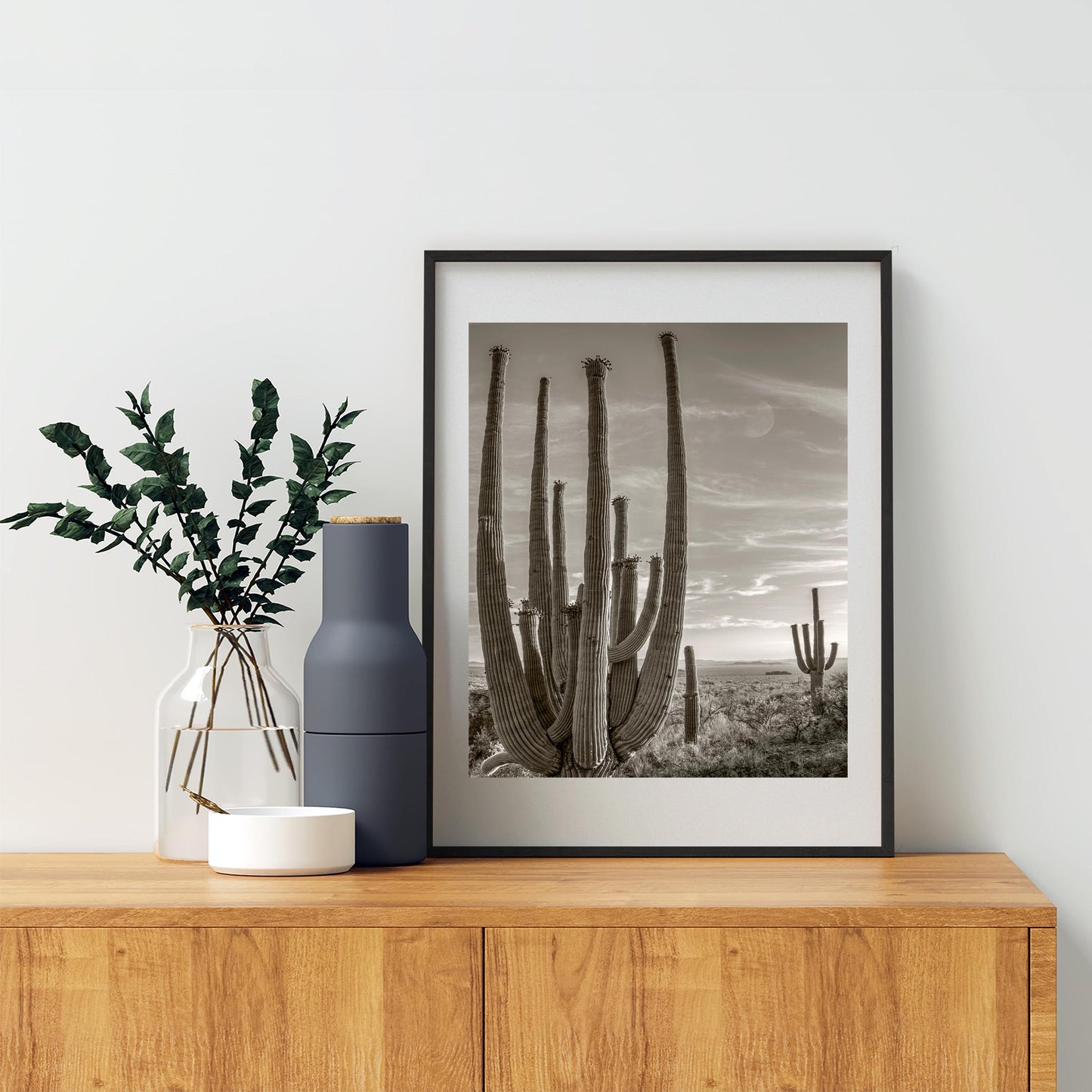 Cactus Picture with Southwestern Landscape and Desert Moon | Tohono O'odham Tucson Arizona