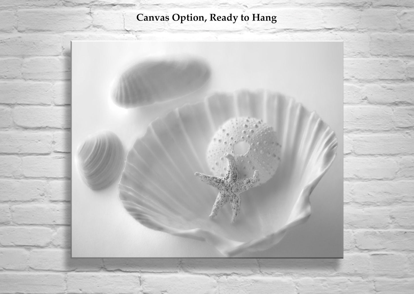 Minimalist Seashell and Starfish Art – Coastal Wall Print for Bath