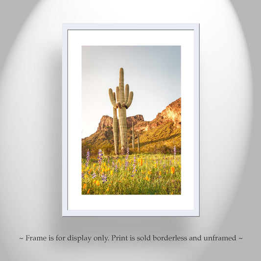 Tucson Landscape with Saguaro Cactus and Picacho Peak Desert View