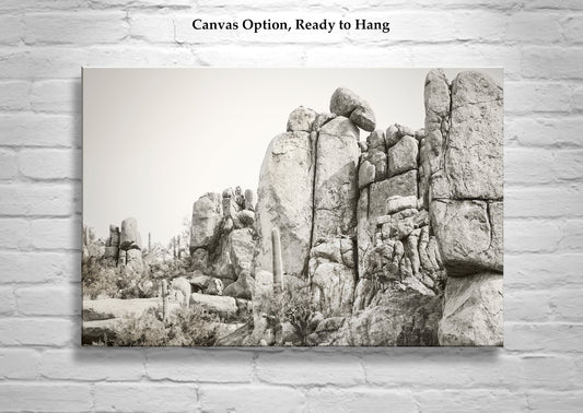 Desert Cactus Arizona Landscape Art in Antique Southwestern Style