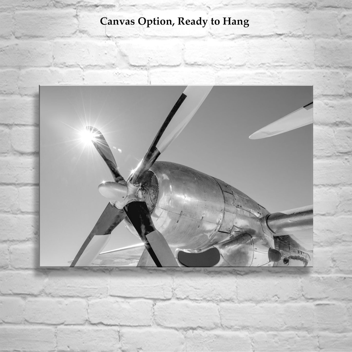 Aviation Wall Art | Boeing Superfortress Warbird in Black & White