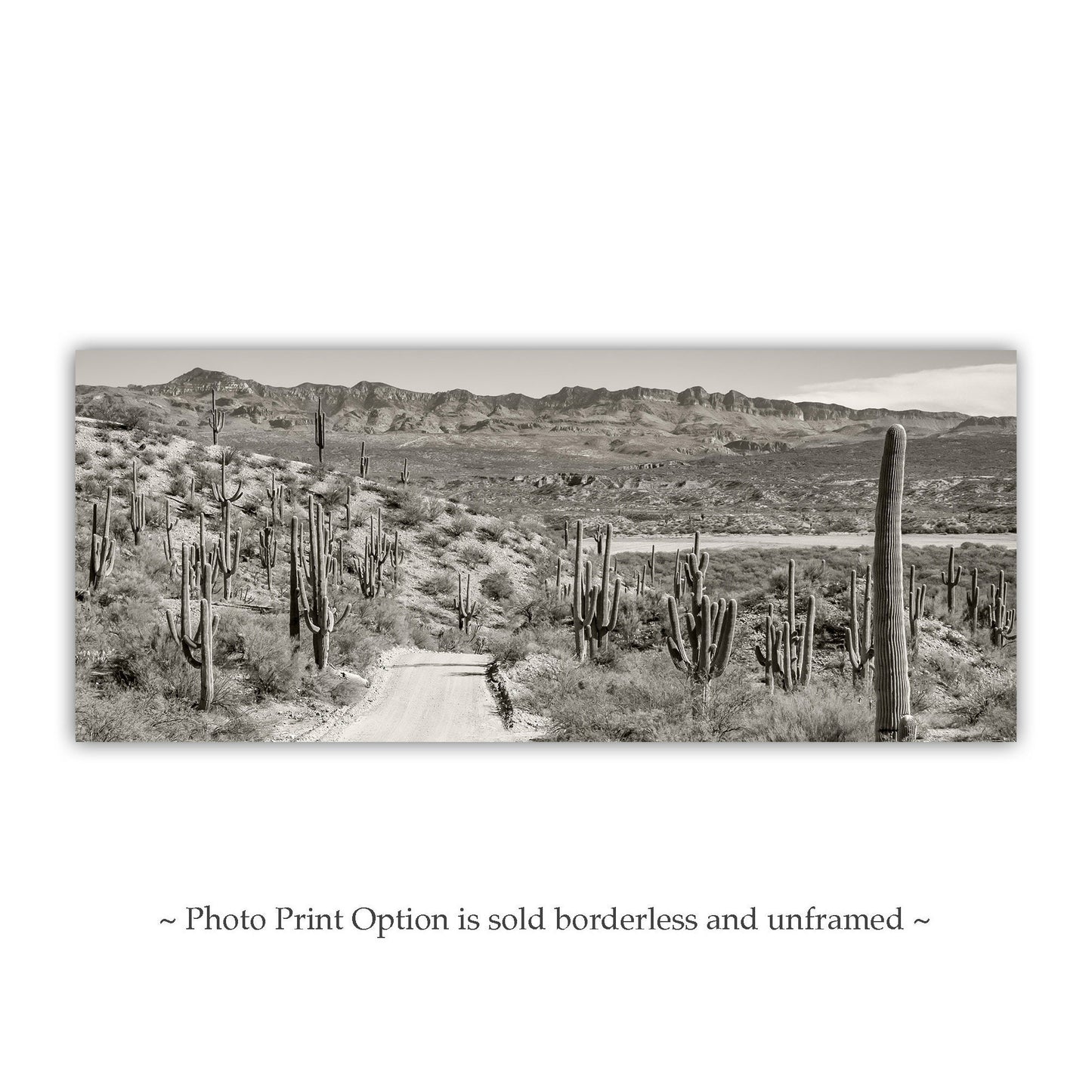 Redington Pass Desert Road with Saguaro – Tucson Art Photograph