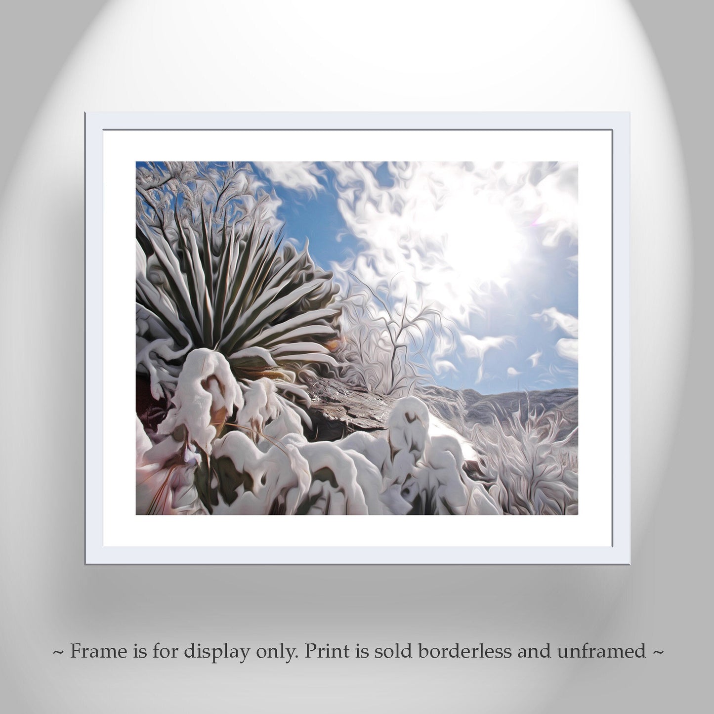 Desert Snow Canvas Art with Agave Plant in Arizona Winter