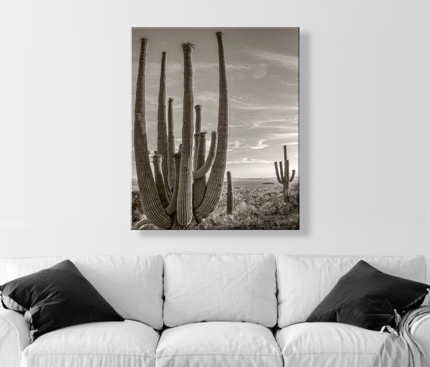 Cactus Picture with Southwestern Landscape and Desert Moon | Tohono O'odham Tucson Arizona