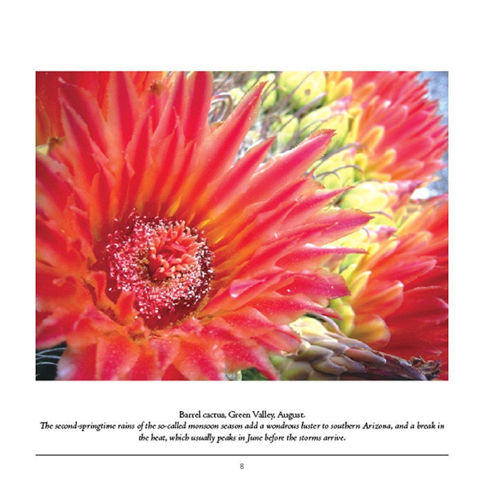 Arizona Nature Photo Book | Self Published Book | Tucson Az