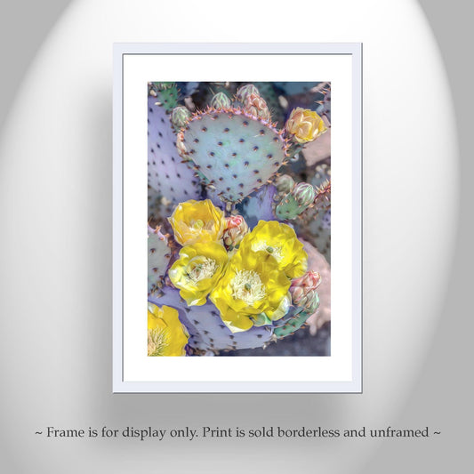 Santa Rita Prickly Pear Art – Purple Desert Cactus Flower Wall Print