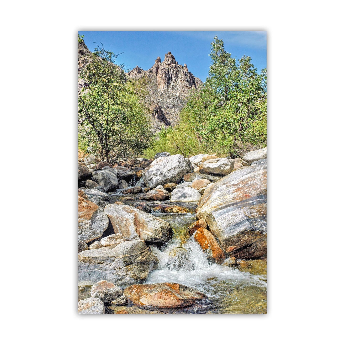 Sabino Canyon Tucson Arizona Landscape Photograph