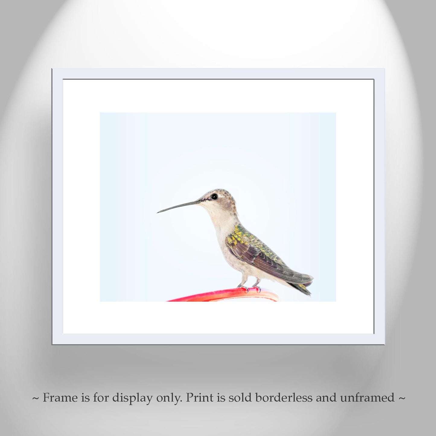 Hummingbird Art Fine Art Print as Serene Minimalist Wall Art