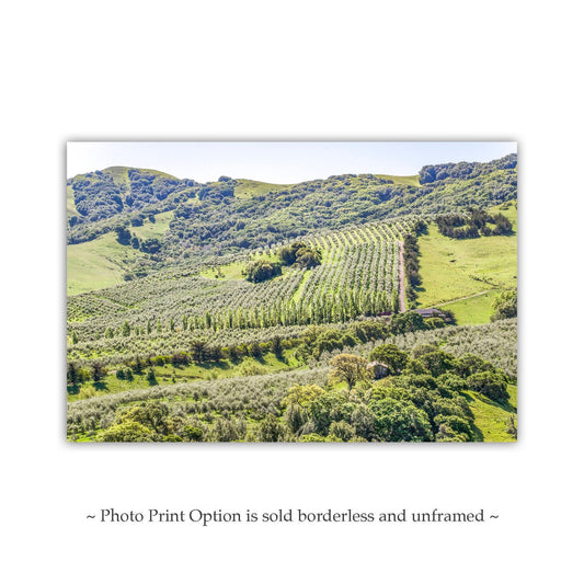 Napa Valley Vineyard Art Print – California Wine Country Farmhouse Decor