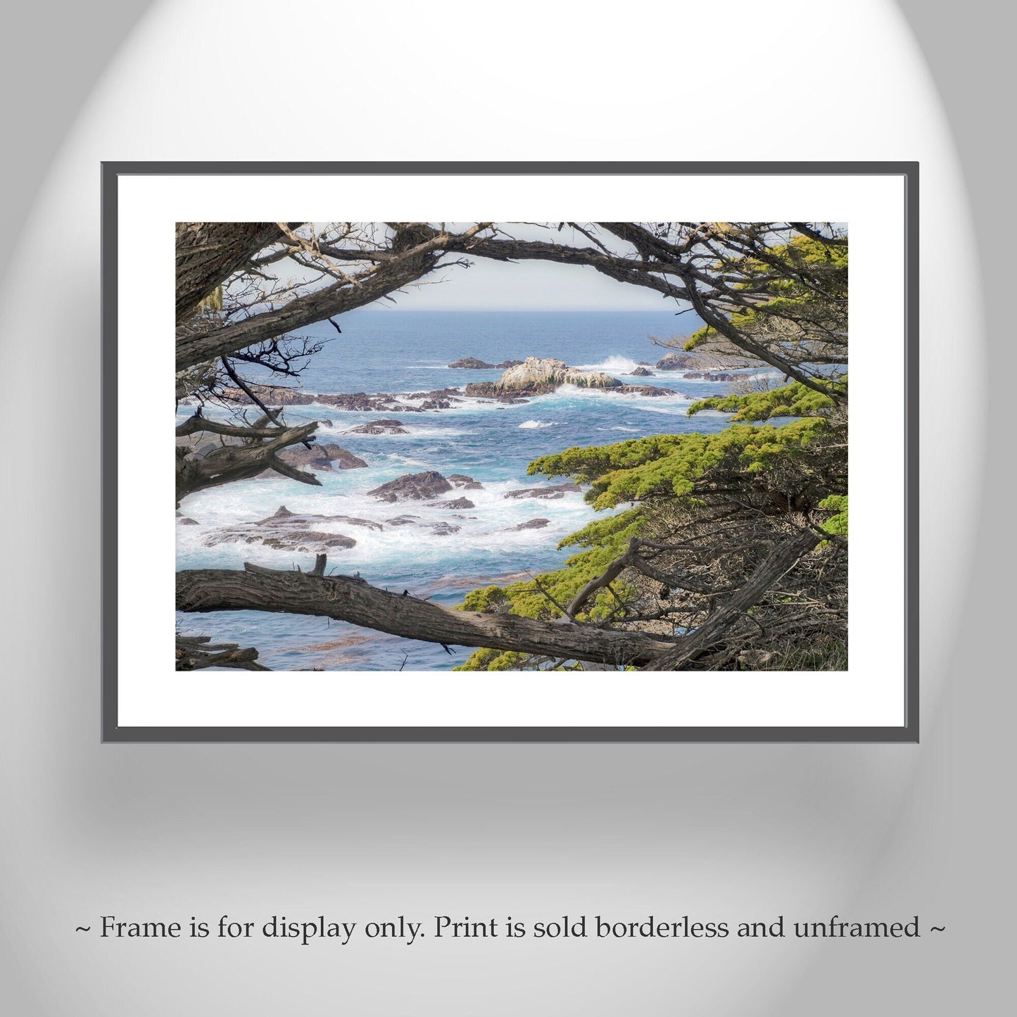 Carmel by the Sea Art Print | Point Lobos with Monterey Cypress Trees