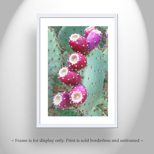 Southwestern Cactus Wall Art – Santa Rita Prickly Pear Print