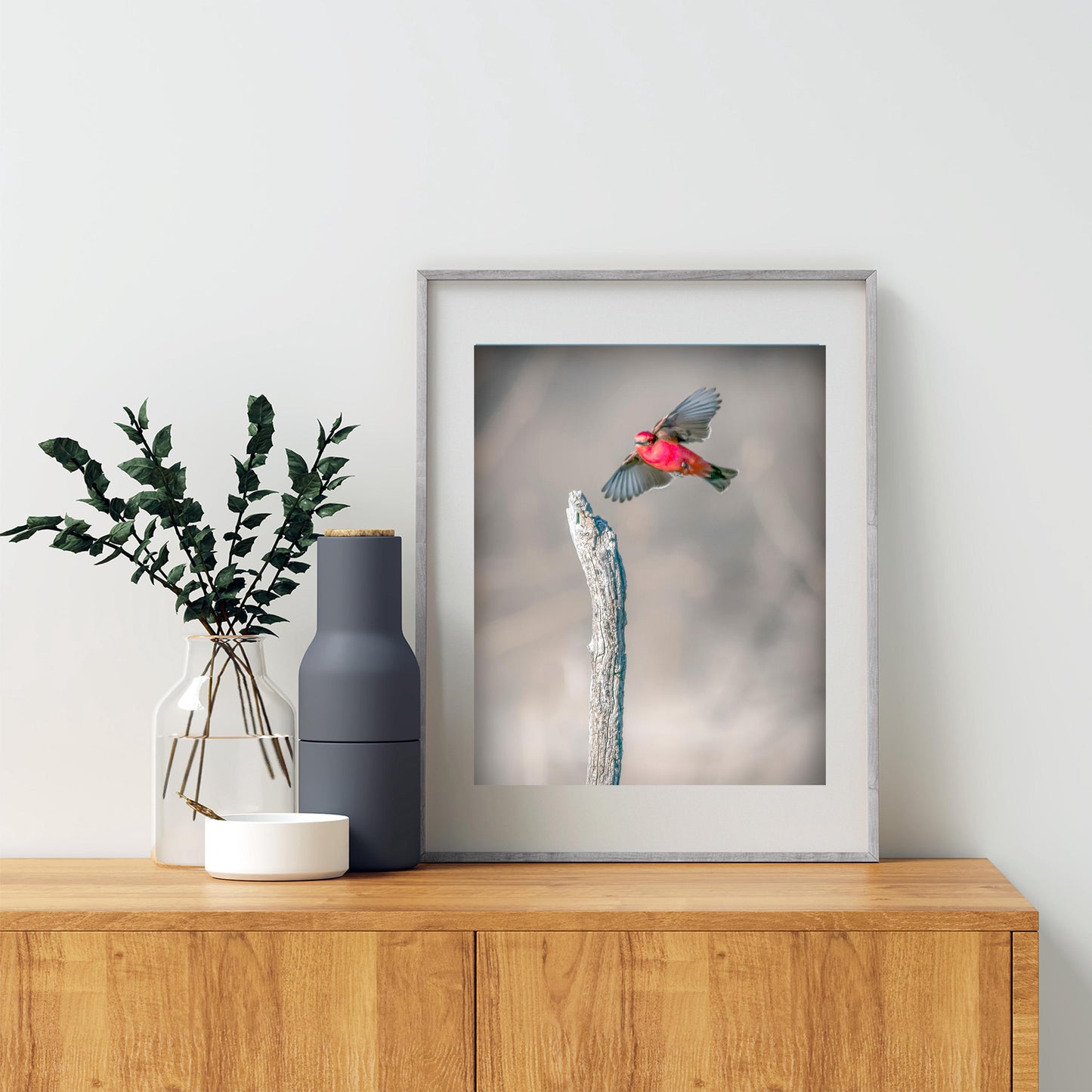Vermilion Flycatcher Bird Art Print | Arivaca Cienega Arizona