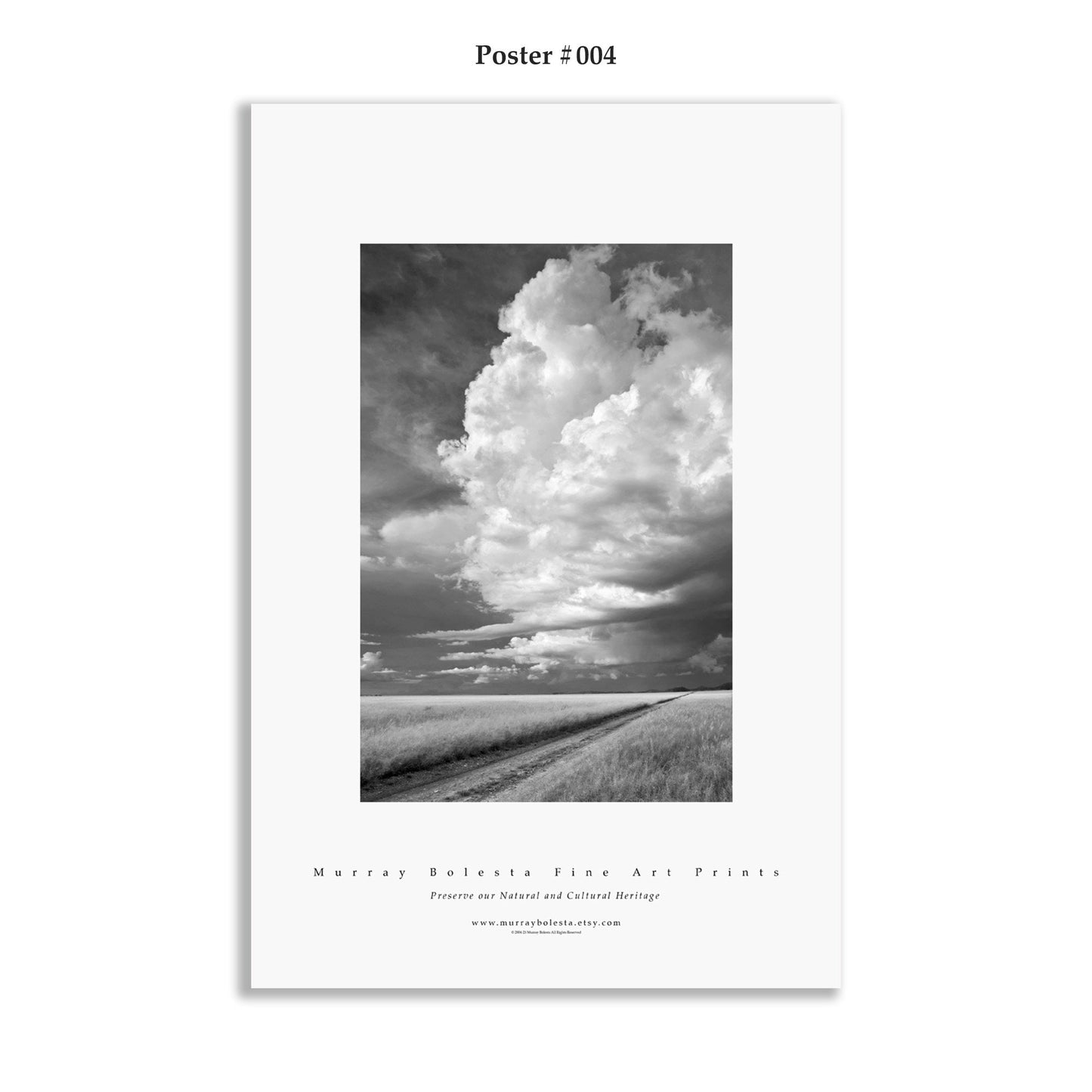 Fine Art Photography Posters by Murray Bolesta