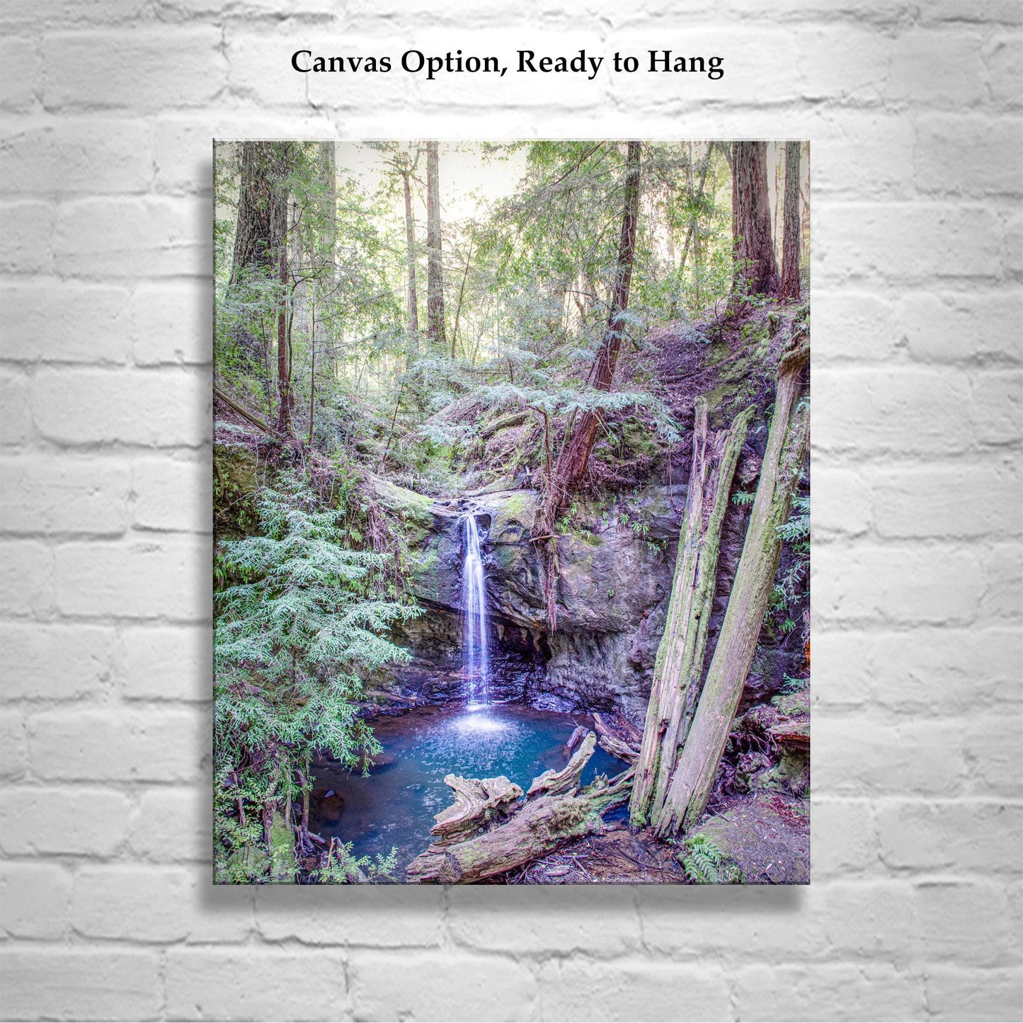 Big Basin California Redwood Forest Waterfall Vertical Art Print