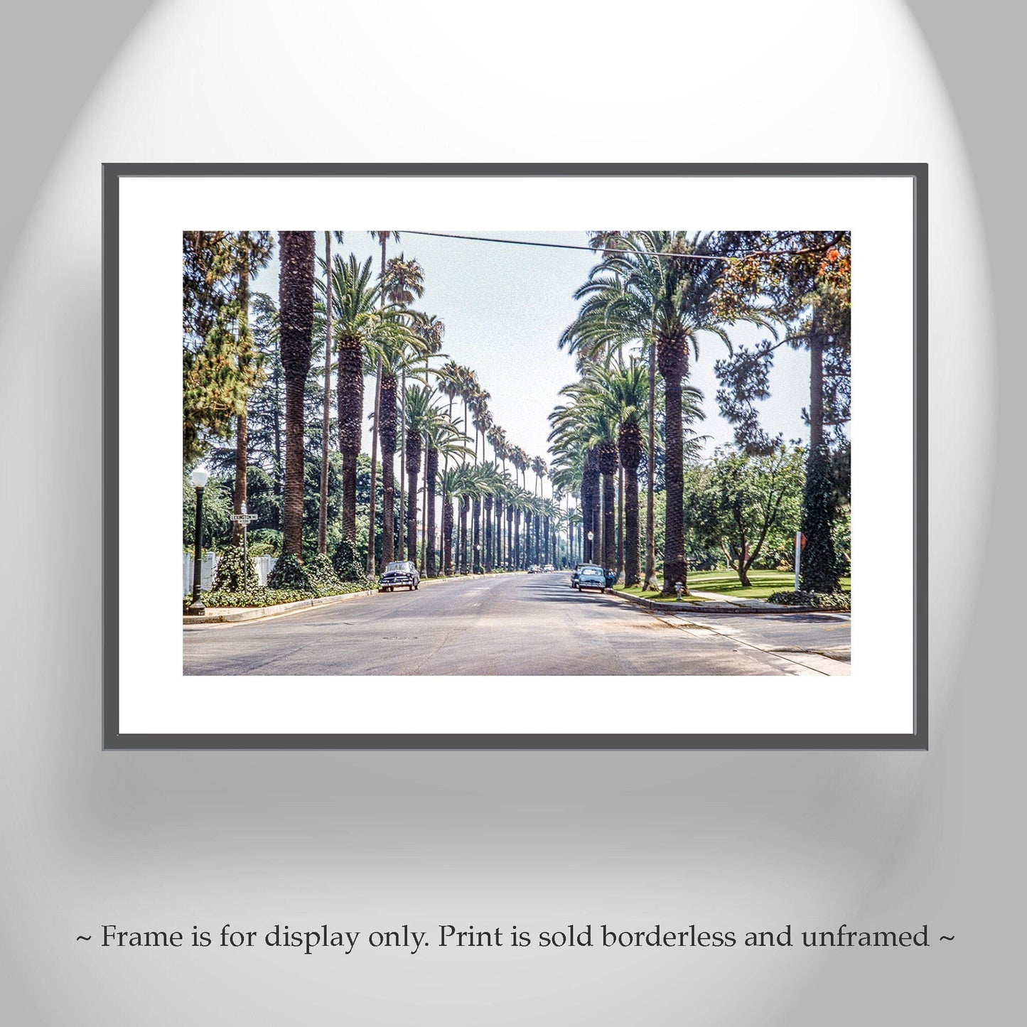 Vintage Beverly Hills Photo – Midcentury Los Angeles Print