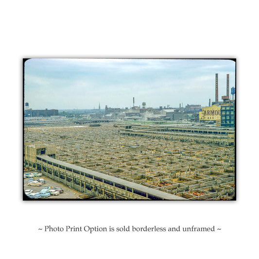 Chicago Union Stockyards Vintage Mid-Century Photography Print