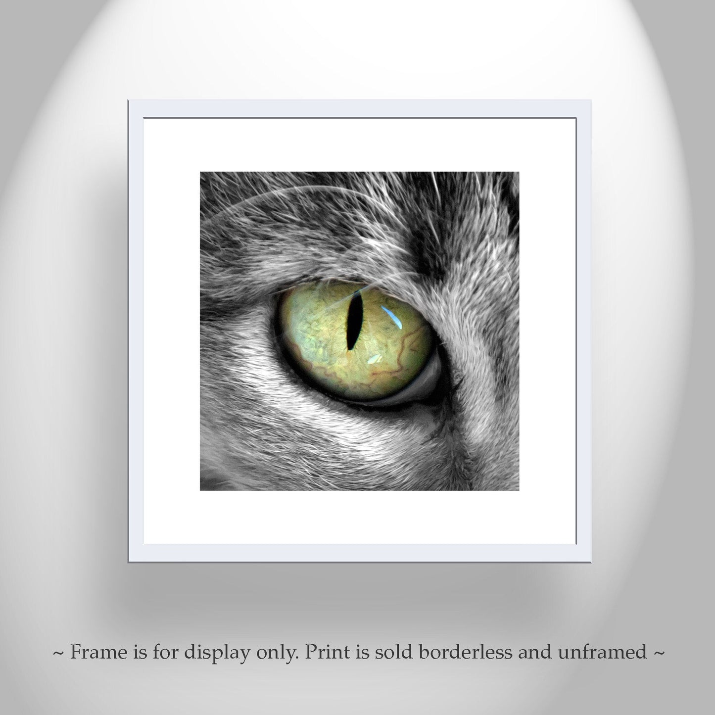 Cat Eye Photograph as Feline Pet Lover Gift