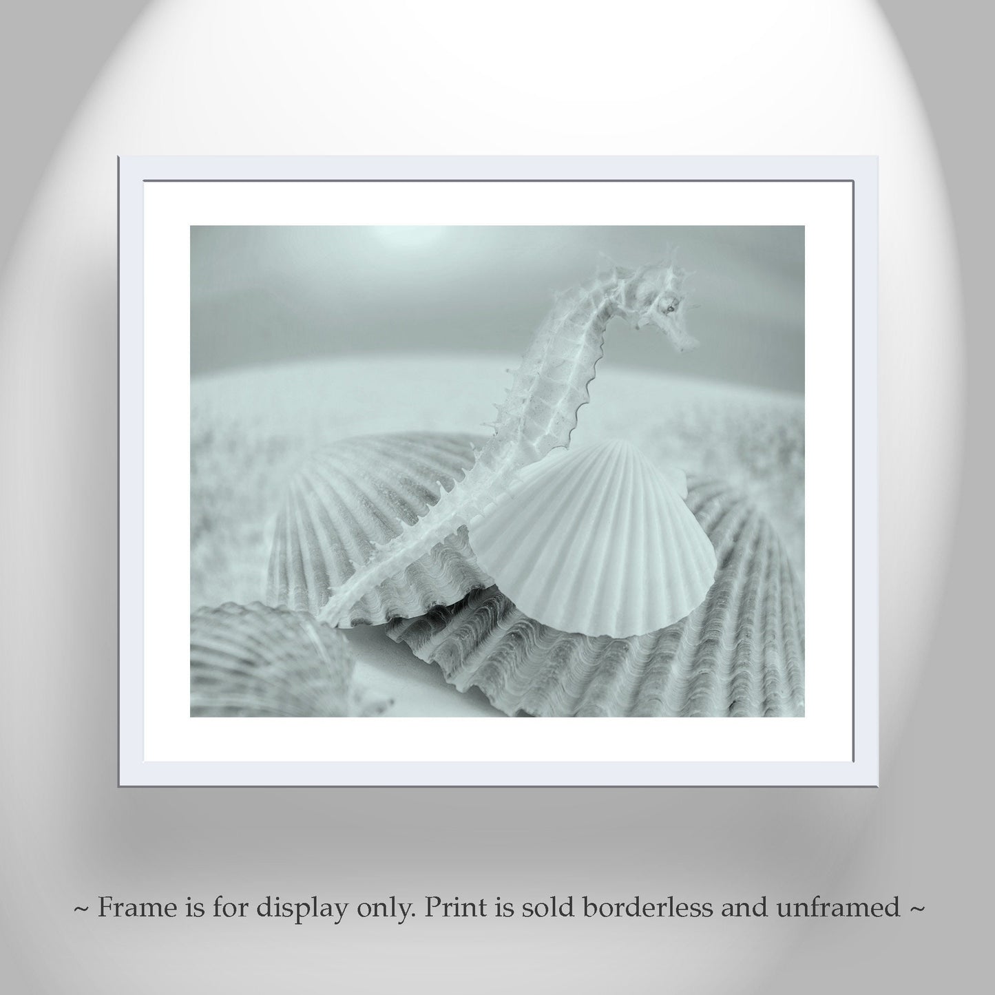 Bathroom Wall Decor with Seahorse | Surreal Seashell Art Photo