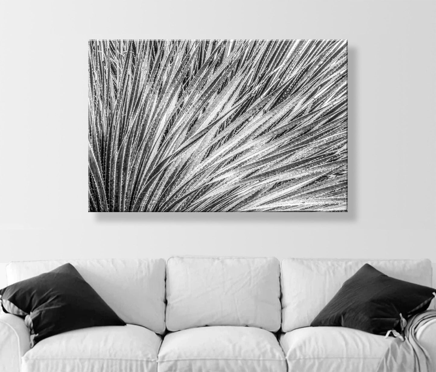 Black and White Agave Print – Fine Art Desert Photography