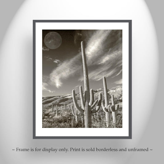 Surreal Desert Cactus Moon Art – Southwestern Wall Decor in Sepia Tone