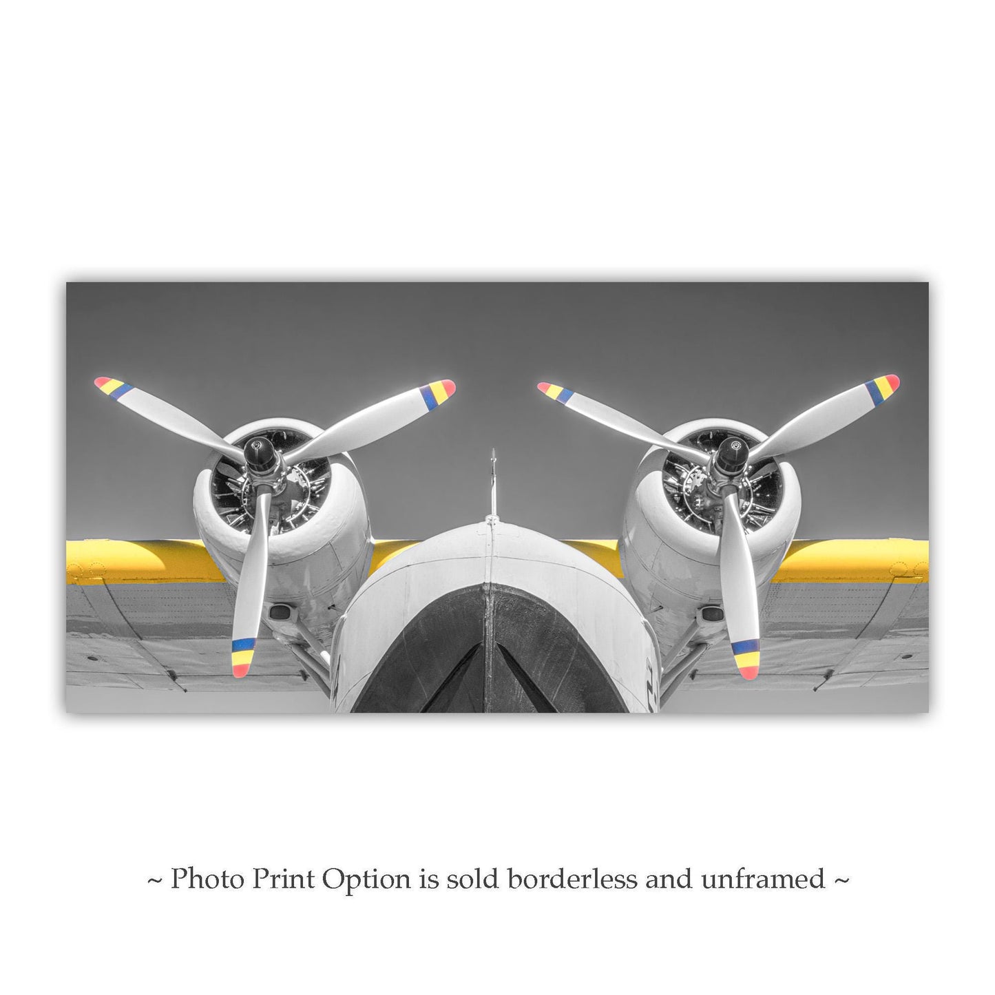 PanAm Baby Clipper Flying Boat Photo | Vintage Aviation Panorama Print