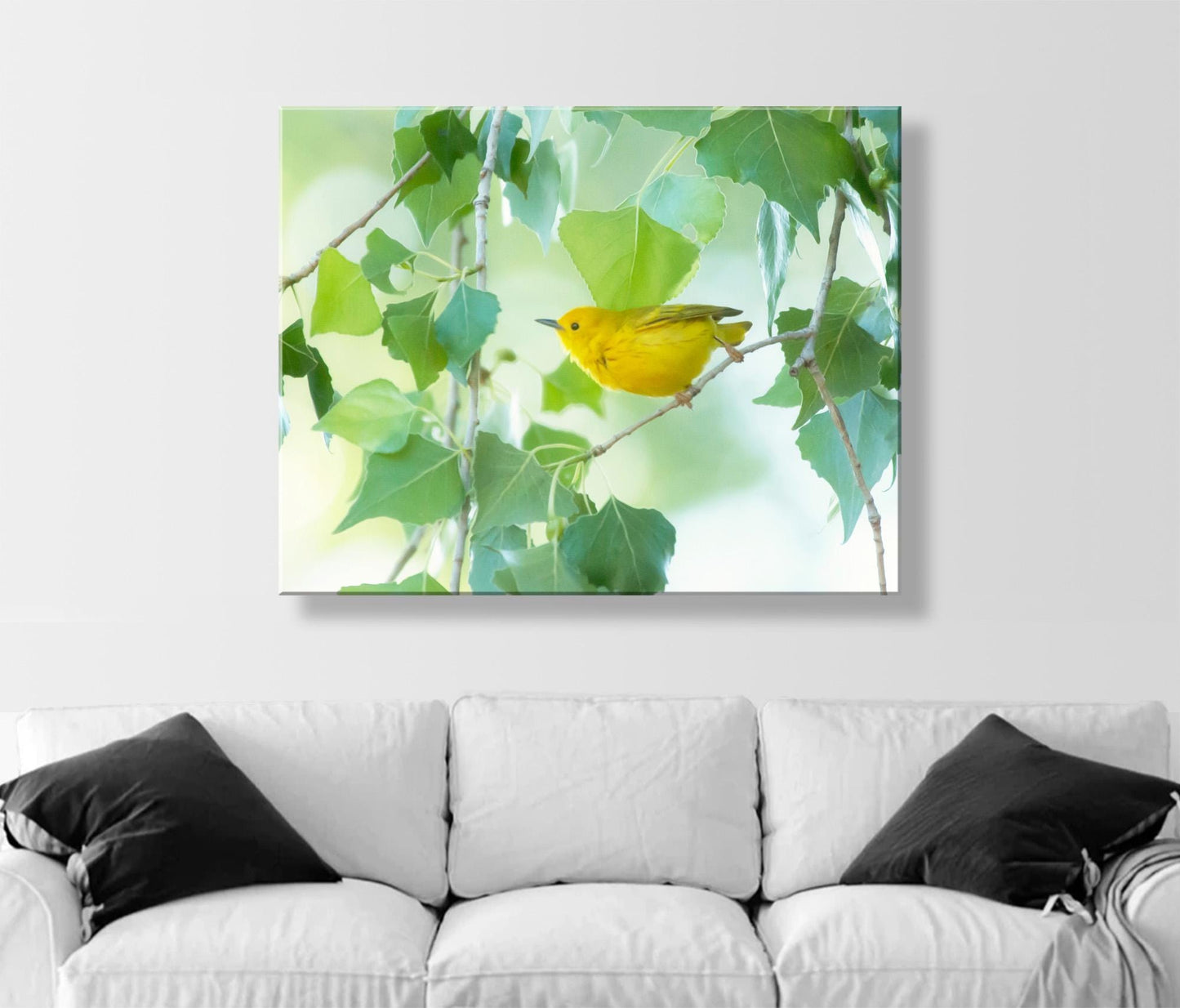 Yellow Warbler Bird in Cottonwood Tree – Colorful Spring Wall Art