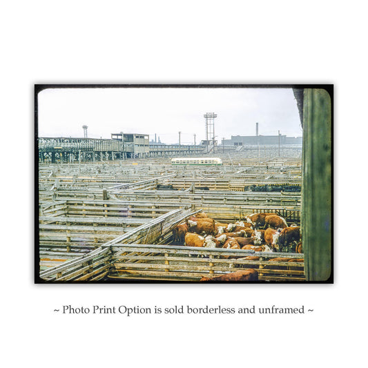 Chicago Stockyards Print - Vintage Mid-Century Wall Art Photography