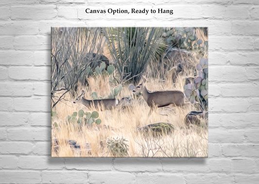 Southwest Ocotillo & Deer Art - Tucson Arizona Wildlife Print
