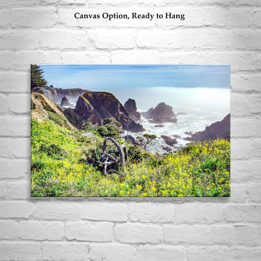 Mendocino California Coast Art Print as Home Decor Gift