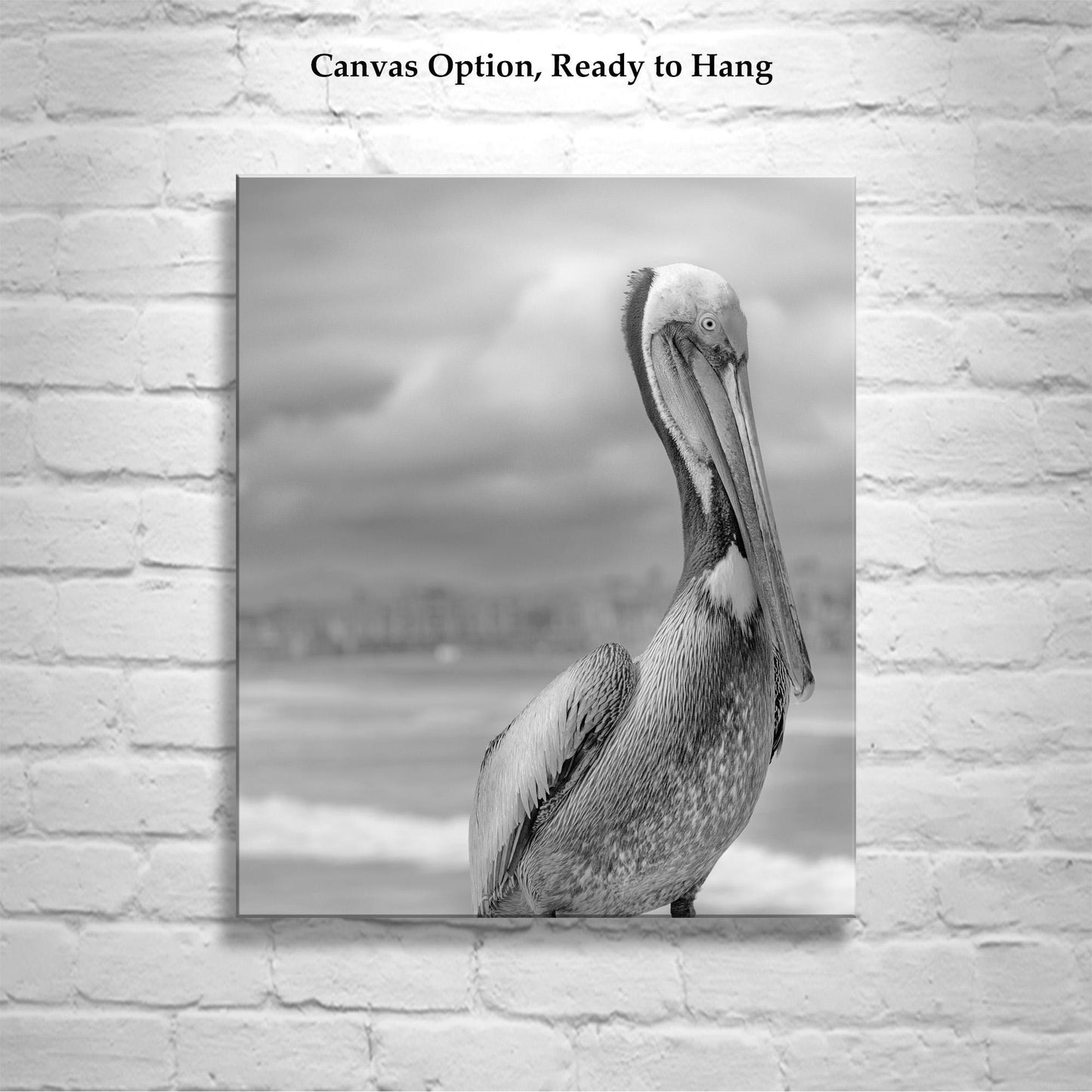 Pelican Art in Black and White | Sea Bird Photography at Oceanside Pier, San Diego California