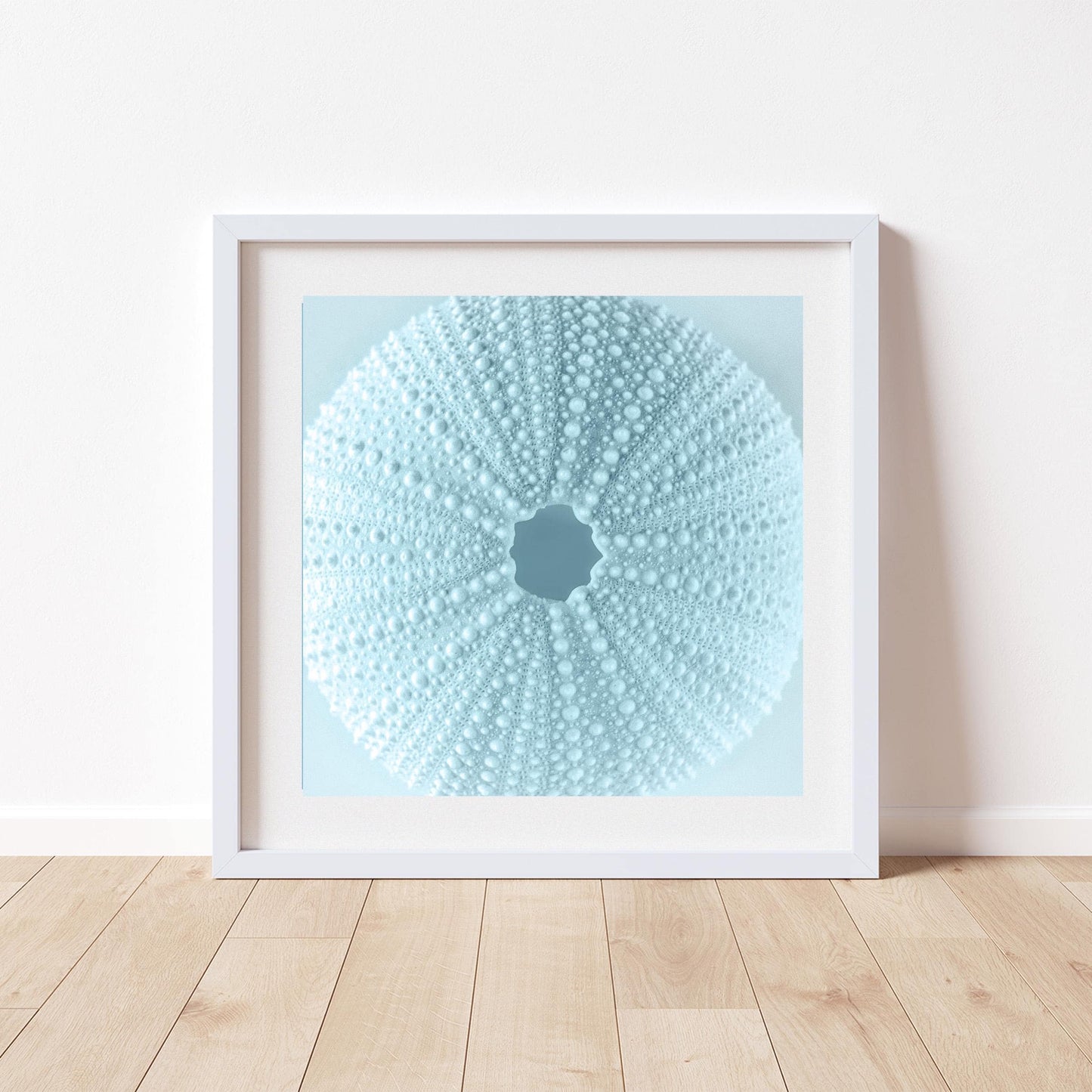 Sea Urchin Seashell in Pastel Blue as Bath Decor Gift Art
