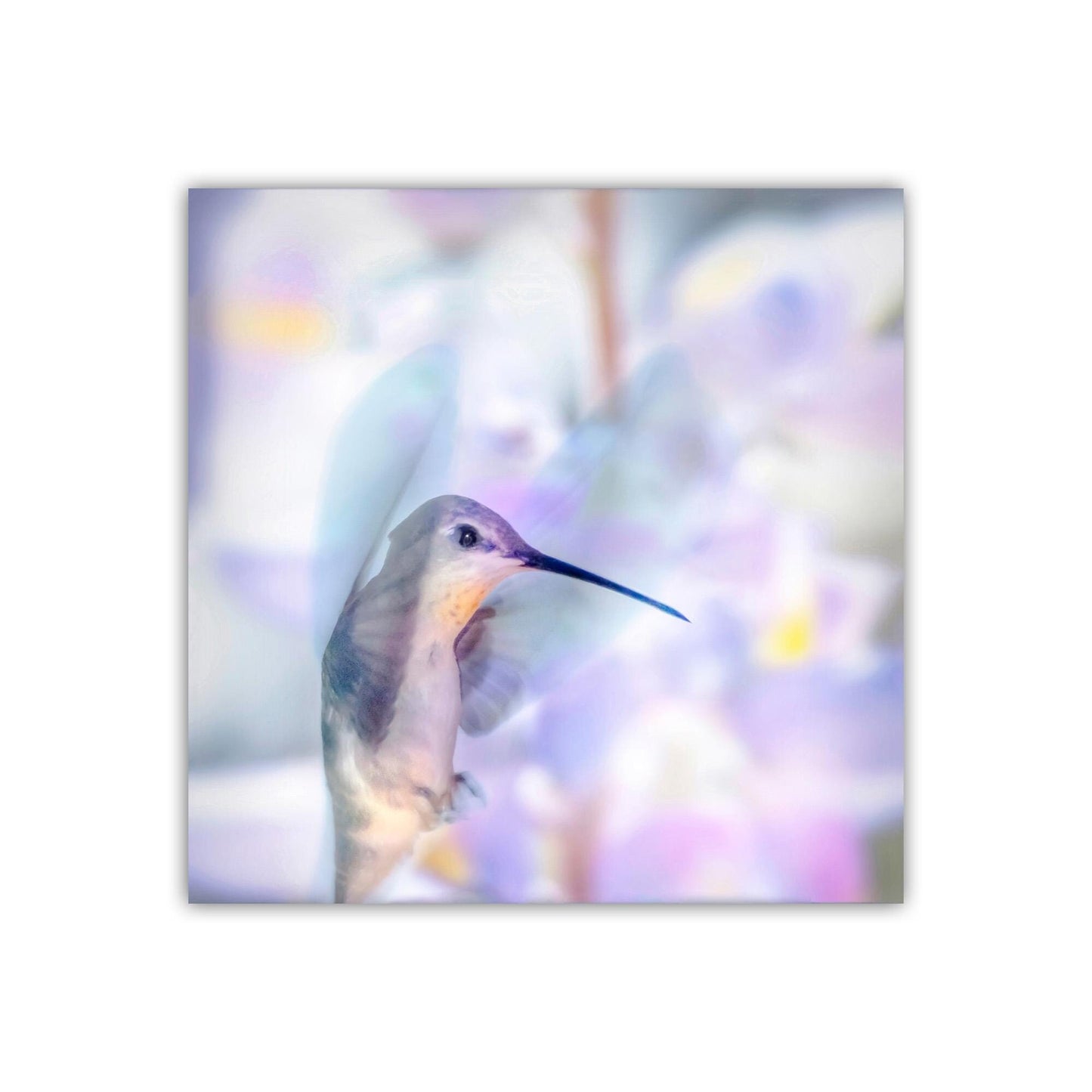 Hummingbird in Flight Art in Pastel Blue | Gift for Bird Lovers