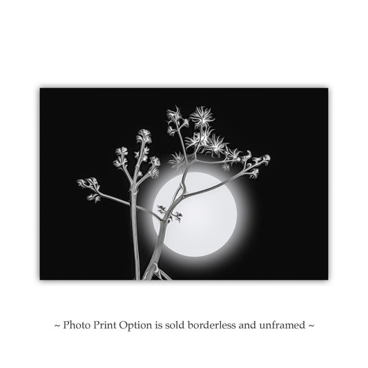 Surreal Desert Moon and Agave Art - Black and White Canvas Print