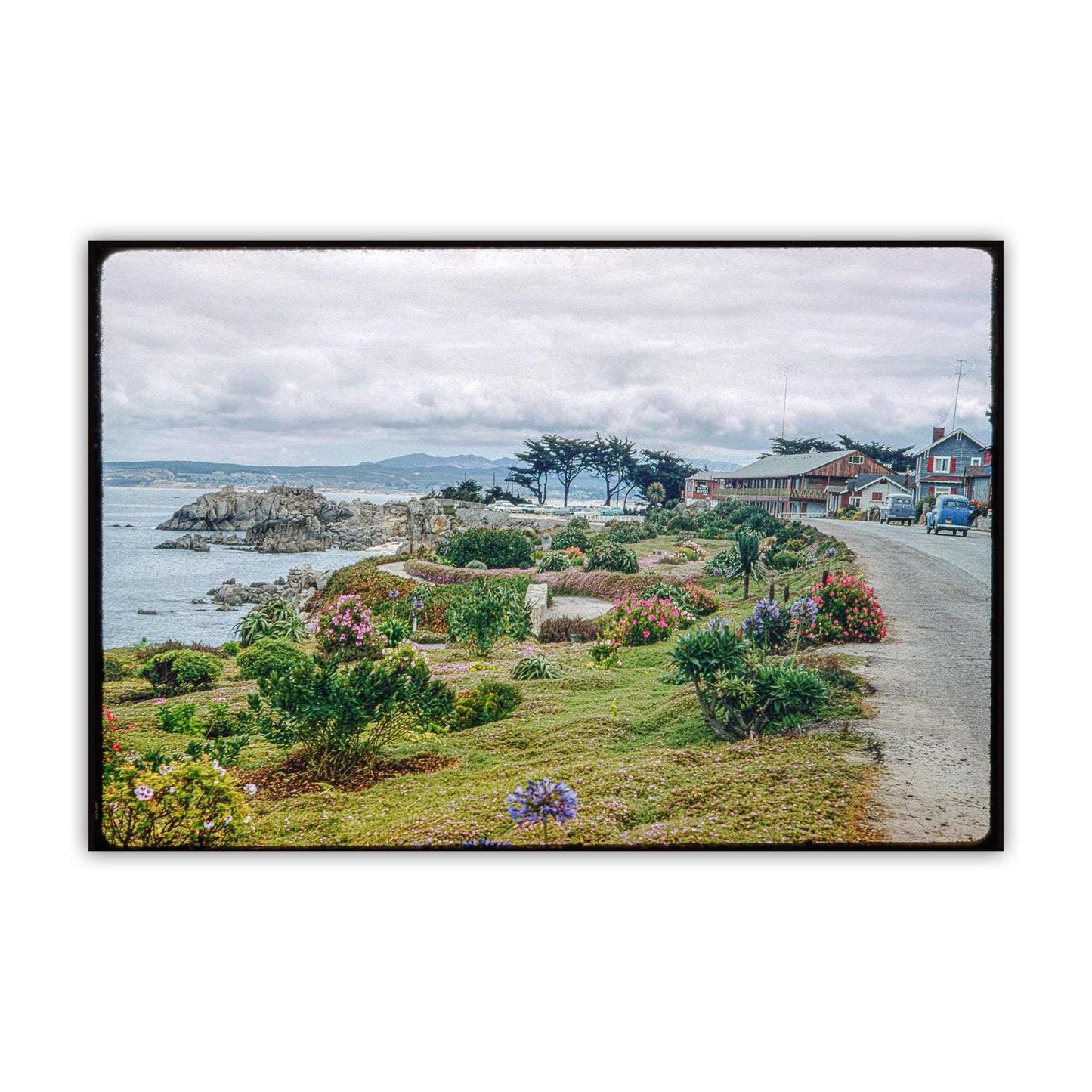 Lover's Point Pacific Grove 1958 Vintage Monterey Art Print