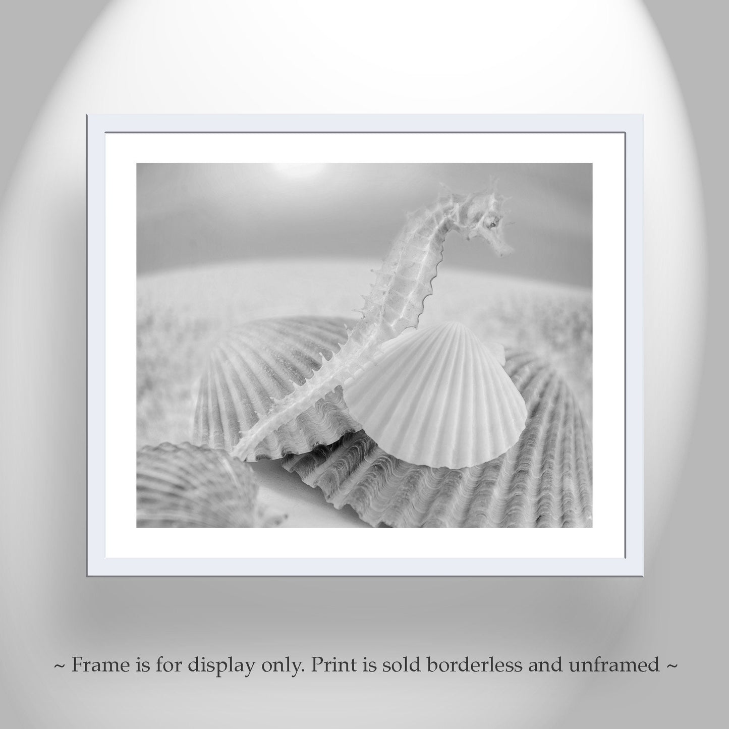 Bathroom Wall Decor with Seahorse | Surreal Seashell Art Photo
