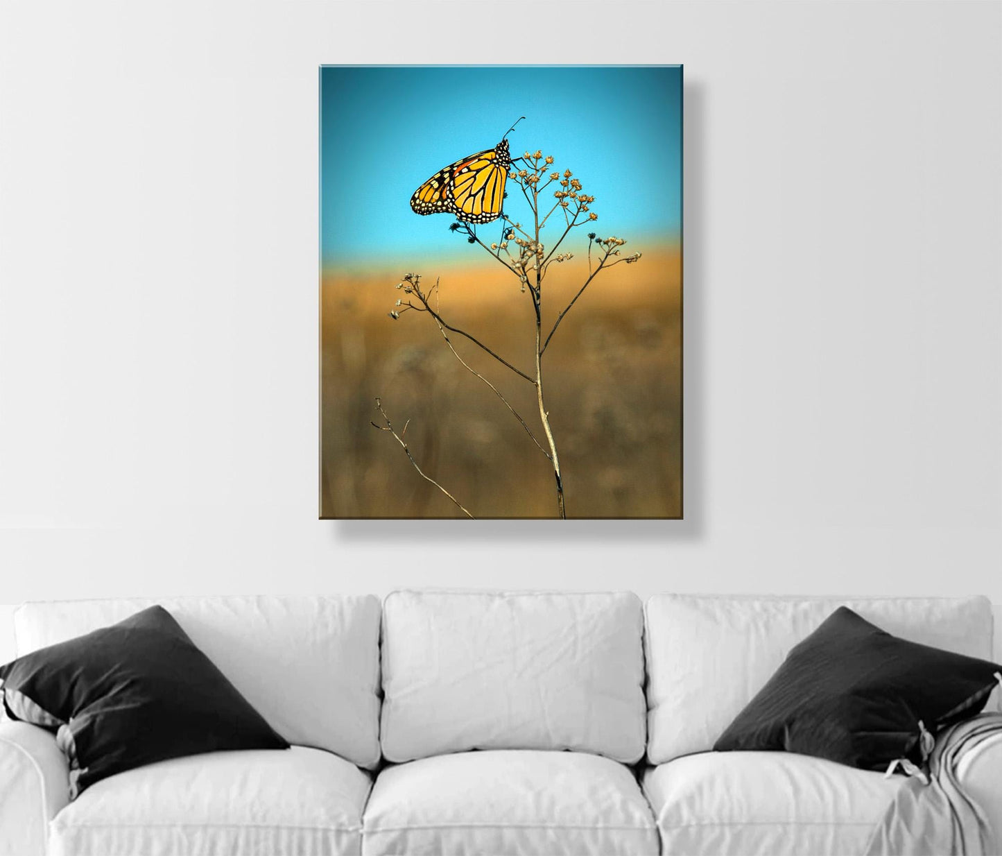 Monarch Butterfly Fine Art Print | Unique Original Nature Wall Decor