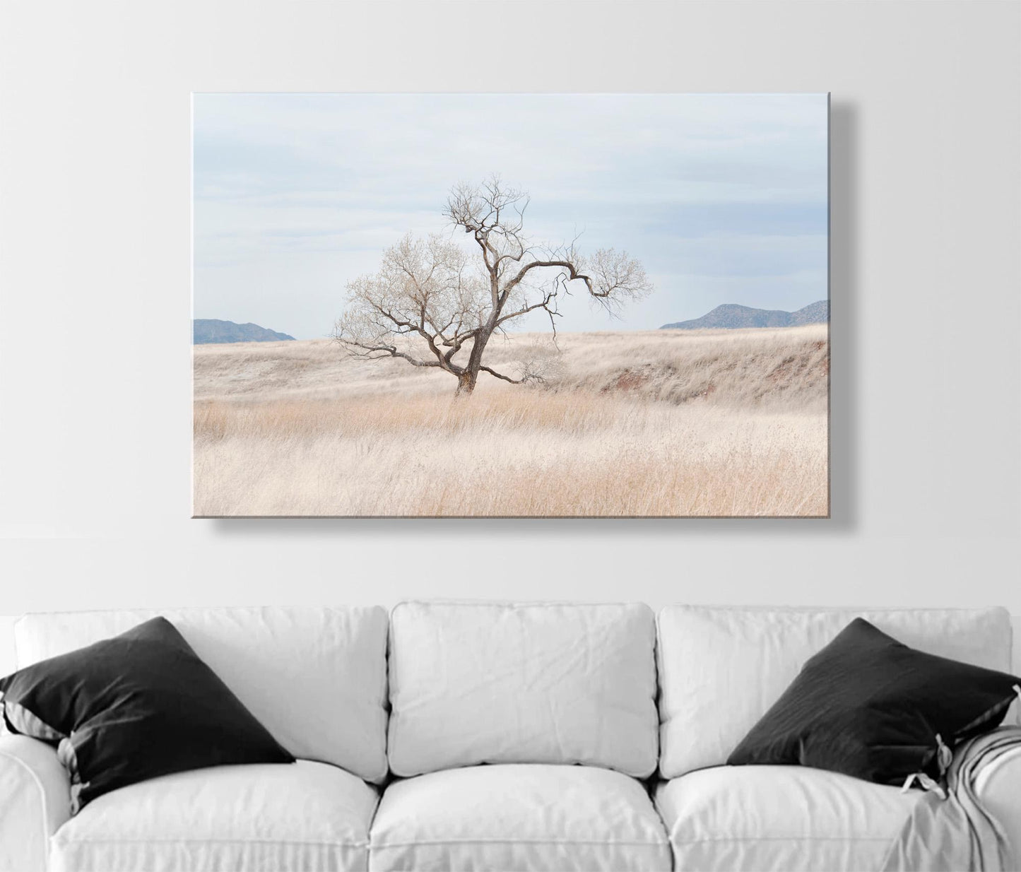 Landscape Fine Art Print of Southwest Prairie Grasslands