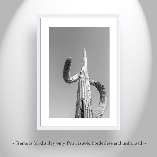 Large Saguaro Cactus Art Print | Arizona Desert Wall Decor